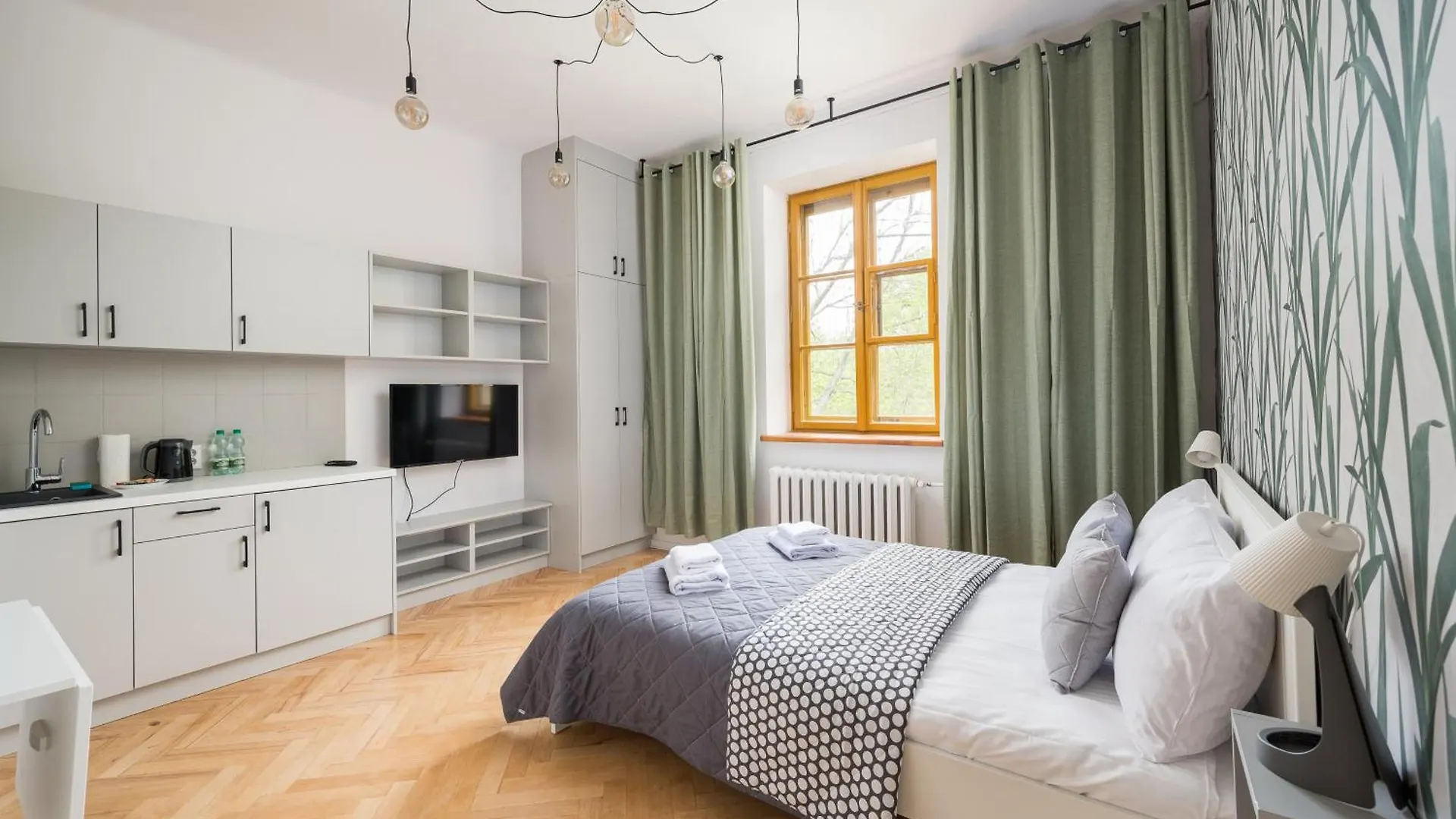 Parkland Homely Studios Warsaw